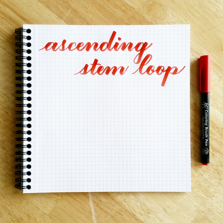basic strokes: ascending stem loop