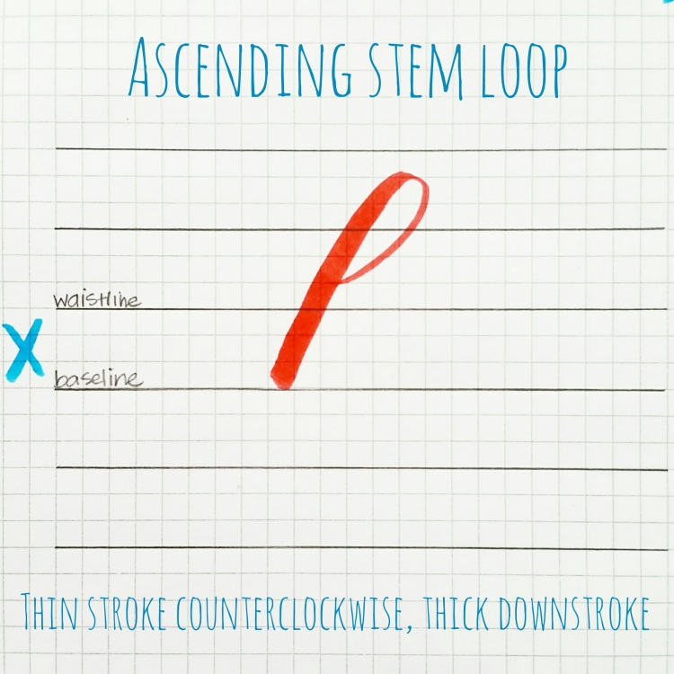 basic strokes: ascending stem loop